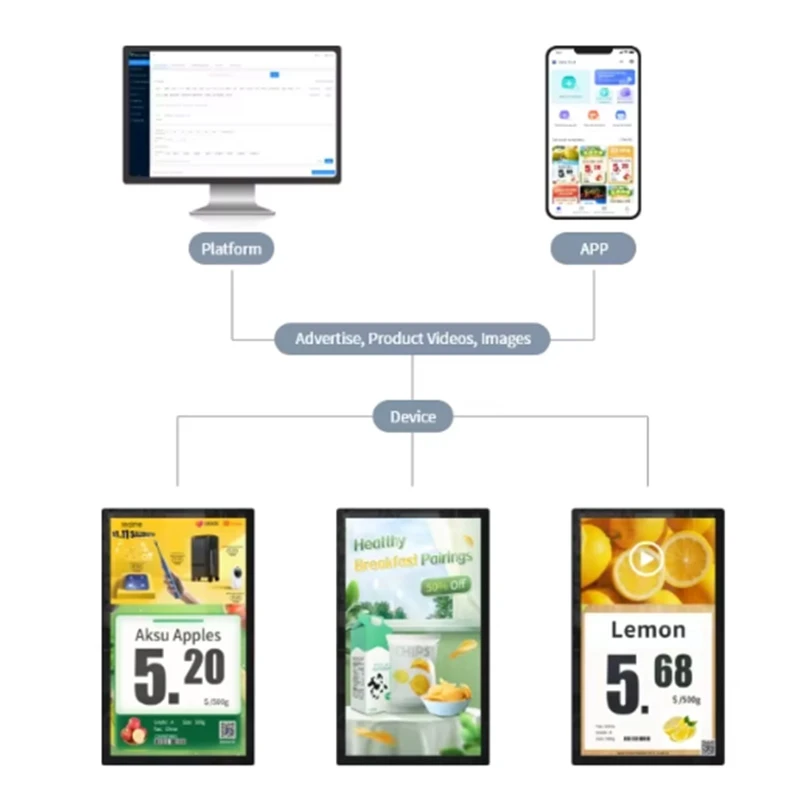 Technical Architecture & Display Engineering Technical Architecture & Display Engineering